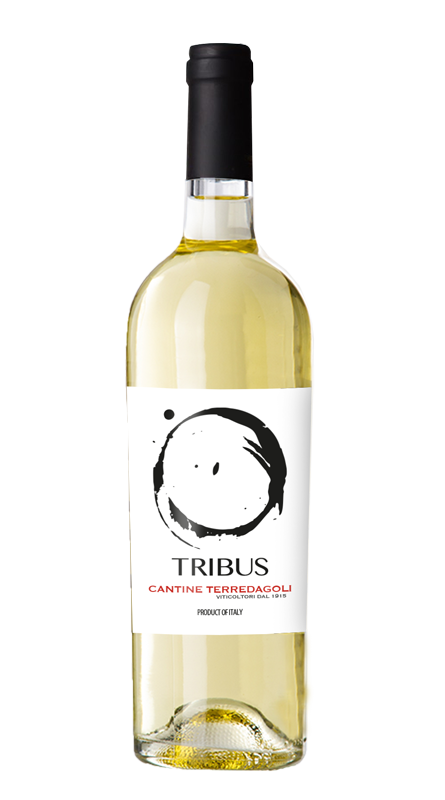 Tribus Bianco in bottiglia