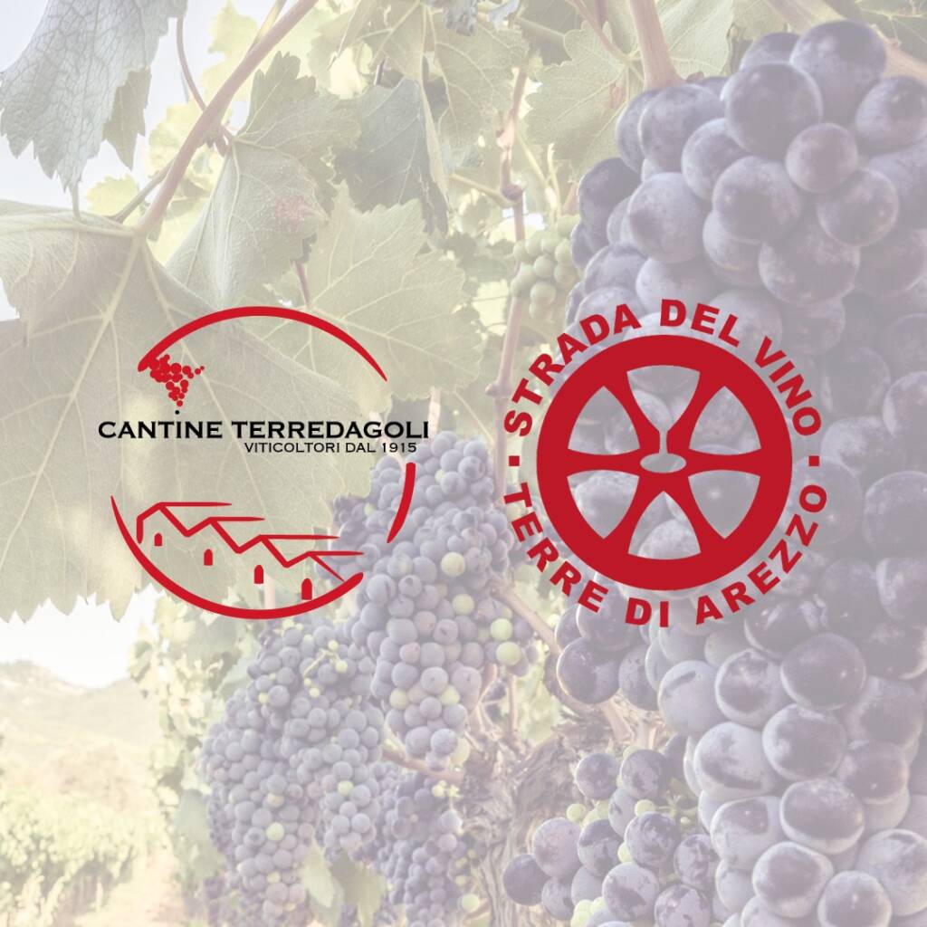 Strada del Vino - Terre di Arezzo