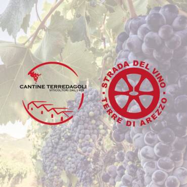 Strada del Vino – Terre di Arezzo